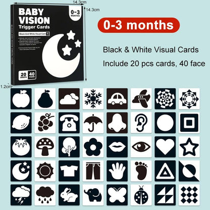 Baby Visual Stimulation Flash Cards - RainbowTDM