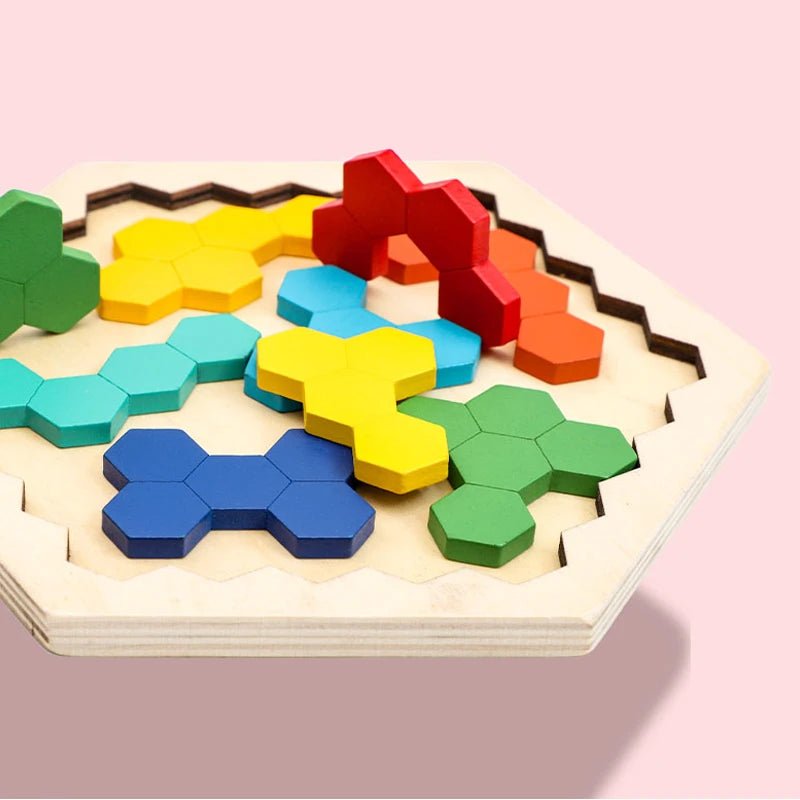 Colourful Wooden Tangram Puzzle - RainbowTDM