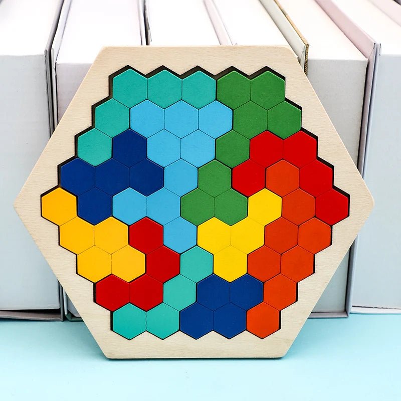 Colourful Wooden Tangram Puzzle - RainbowTDM