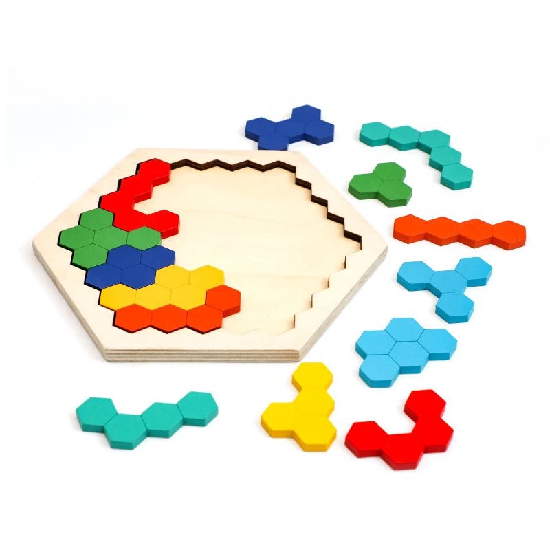 Colourful Wooden Tangram Puzzle - RainbowTDM