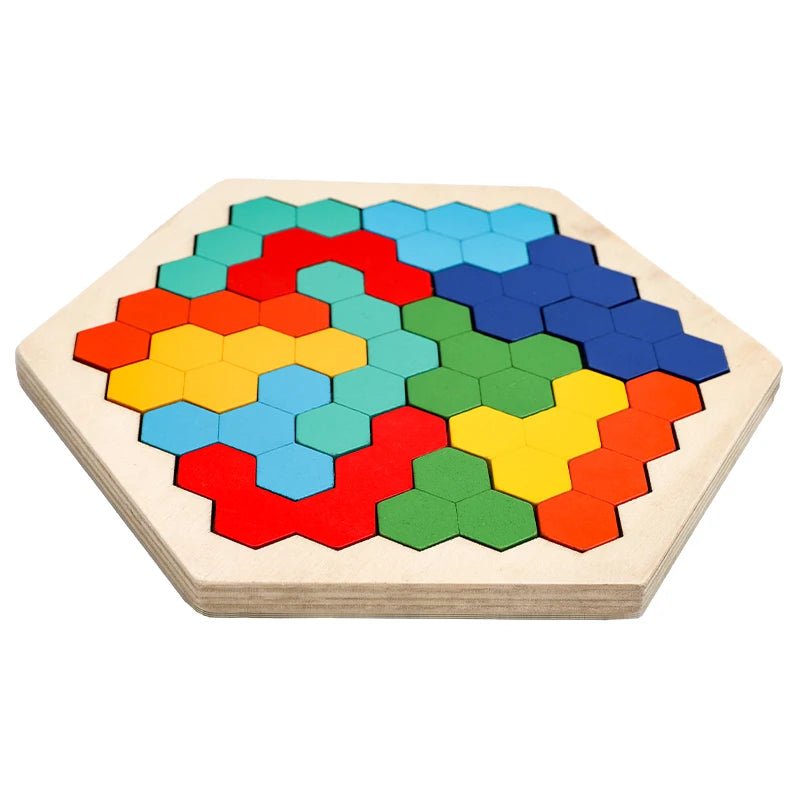 Colourful Wooden Tangram Puzzle - RainbowTDM