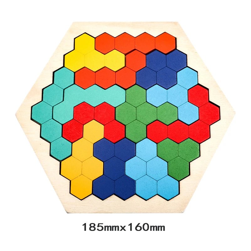 Colourful Wooden Tangram Puzzle - RainbowTDM