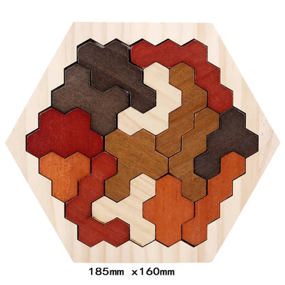 Colourful Wooden Tangram Puzzle - RainbowTDM