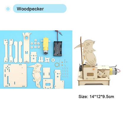 DIY Model Science Kit - RainbowTDM