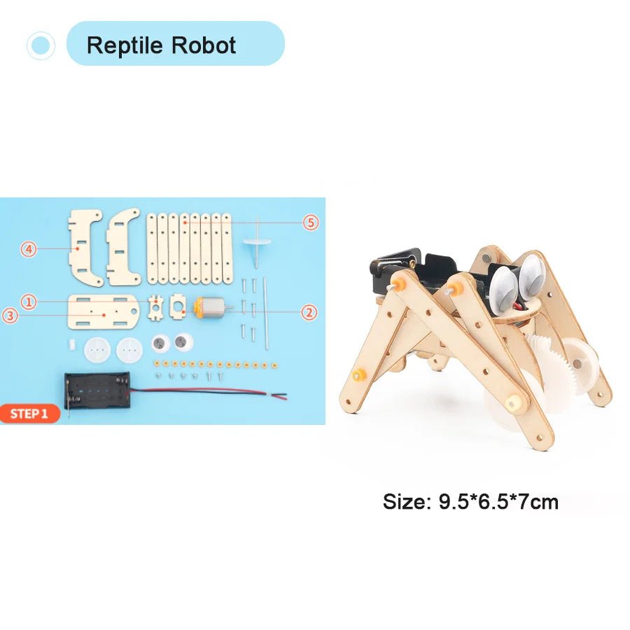 DIY Model Science Kit - RainbowTDM