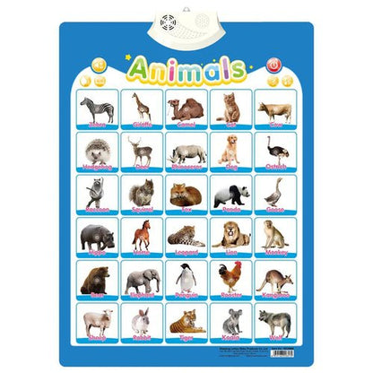 Interactive Learning Poster (alphabet, animals, numbers, planets, etc.) - RainbowTDM