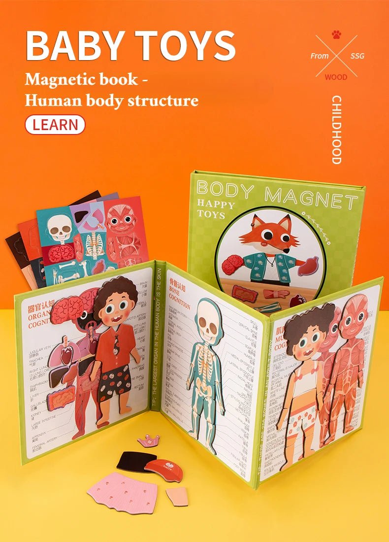 Montessori Learning: Human Body Puzzle - RainbowTDM